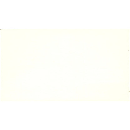 Bennie L Williamson CPA Spring TX Vintage Business Card SD9-B1