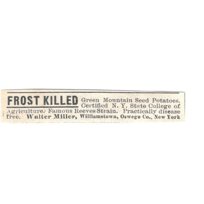 Frost Killed Seed Potatoes Walter Miller Williamstown Oswego Co 1924 Ad AG3-S5