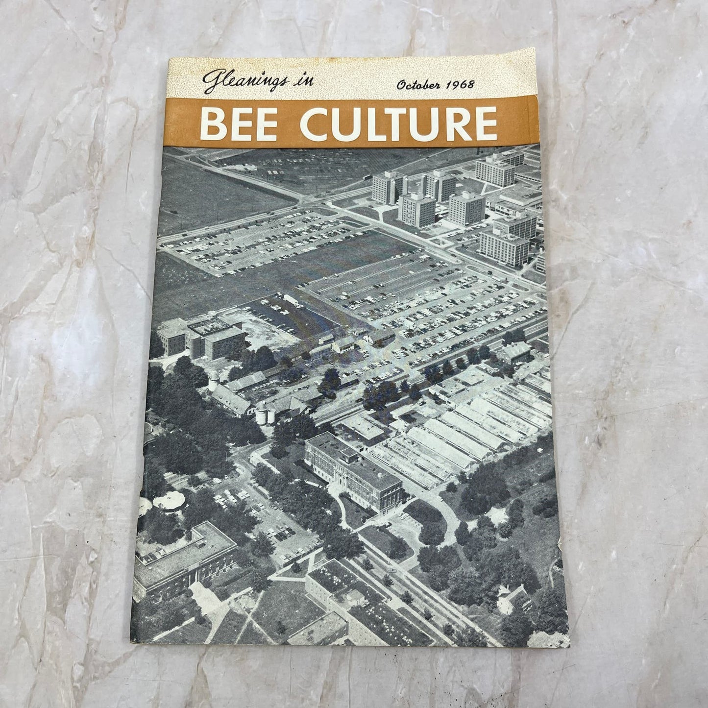 1968 Oct Gleanings in Bee Culture Magazine Bees Beekeeping Honey TD7