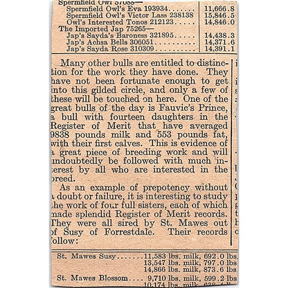 Dandelion Butter Color Wells & Richardson Co Burlington VT 1920 Ad AG2-M2