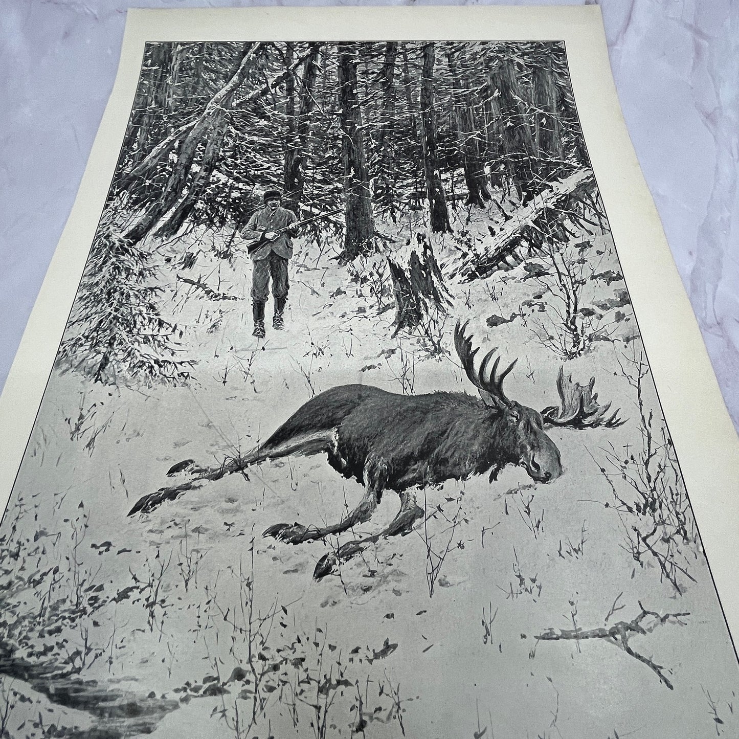 The Bull Moose - Hunting - Original 1904 A.B. Frost Art Print V14-3