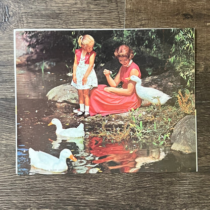 1950s Kitsch The Shady Lagoon Girl Feeding Geese 8x10 Art Print V2-2