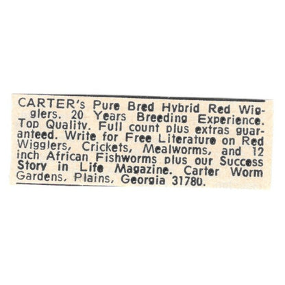 Carter Worm Gardens Red Wigglers Plains GA 1977 Ad AF6-S7