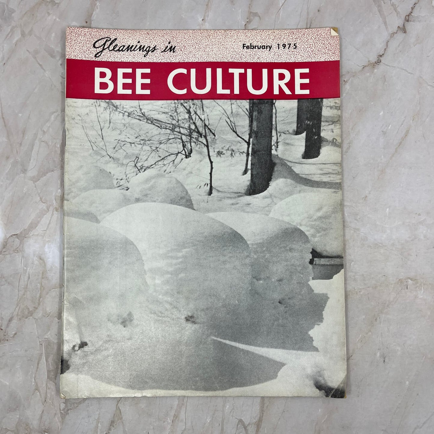 1975 Feb - Gleanings in Bee Culture Magazine - Bees Beekeeping Honey M9