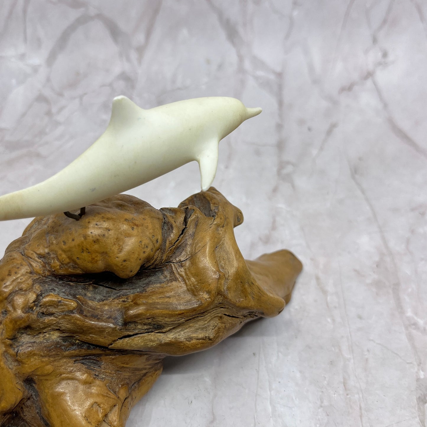 Vintage John Perry Studio Dolphin Burl Wood Art Sculpture Ocean 5x7" TF4