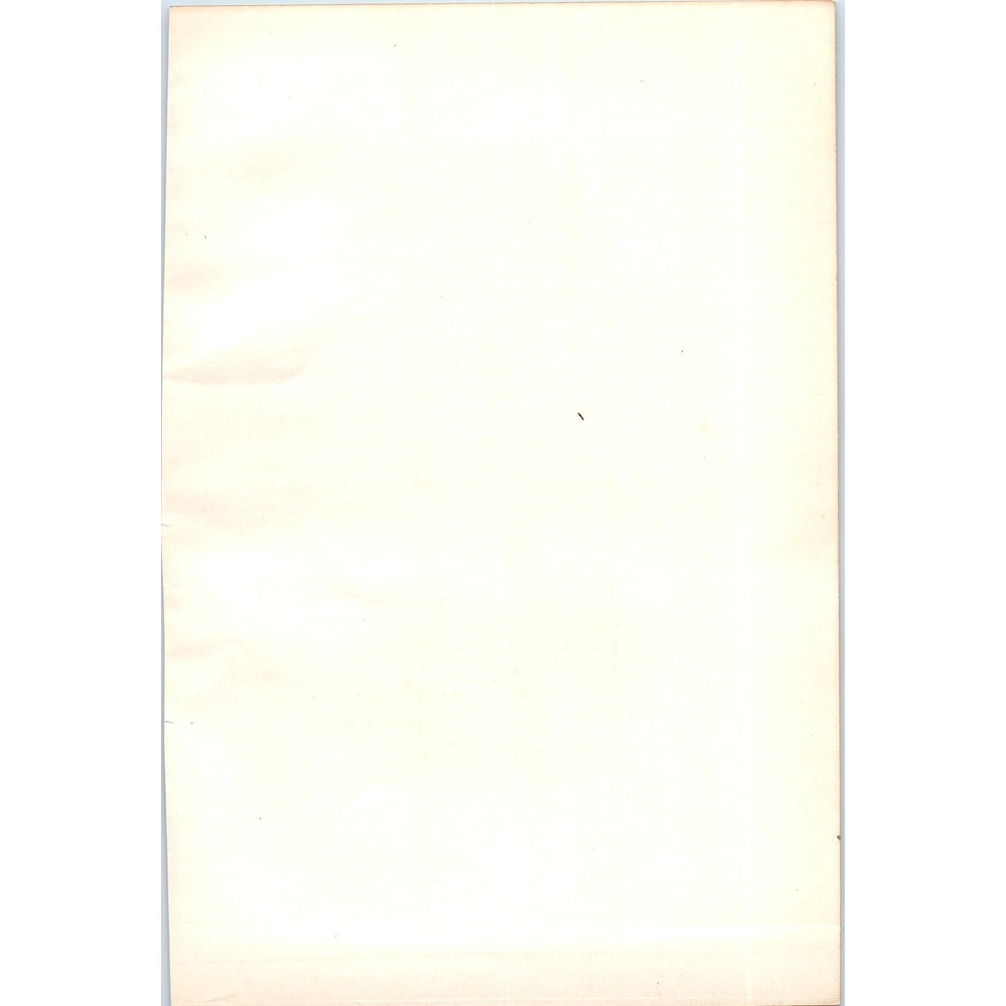 Water Rail Bird 1903 Original Color Engraving Plate Print AD8-B6