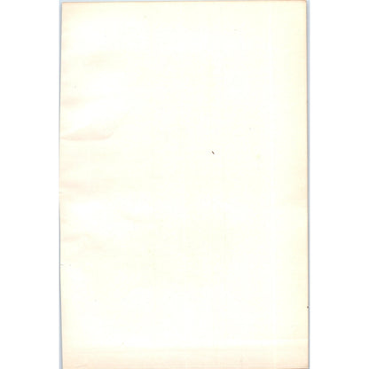 Water Rail Bird 1903 Original Color Engraving Plate Print AD8-B6