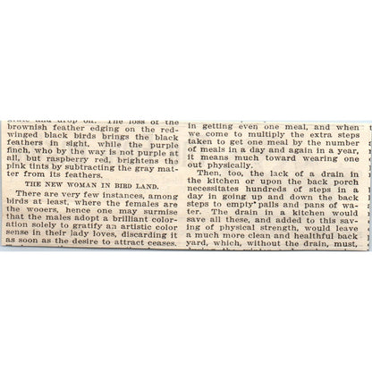 Field Engine Field-Brundage Jackson MI Palmer Bros Cos Cob CT 1905 Ad AF1-NH1