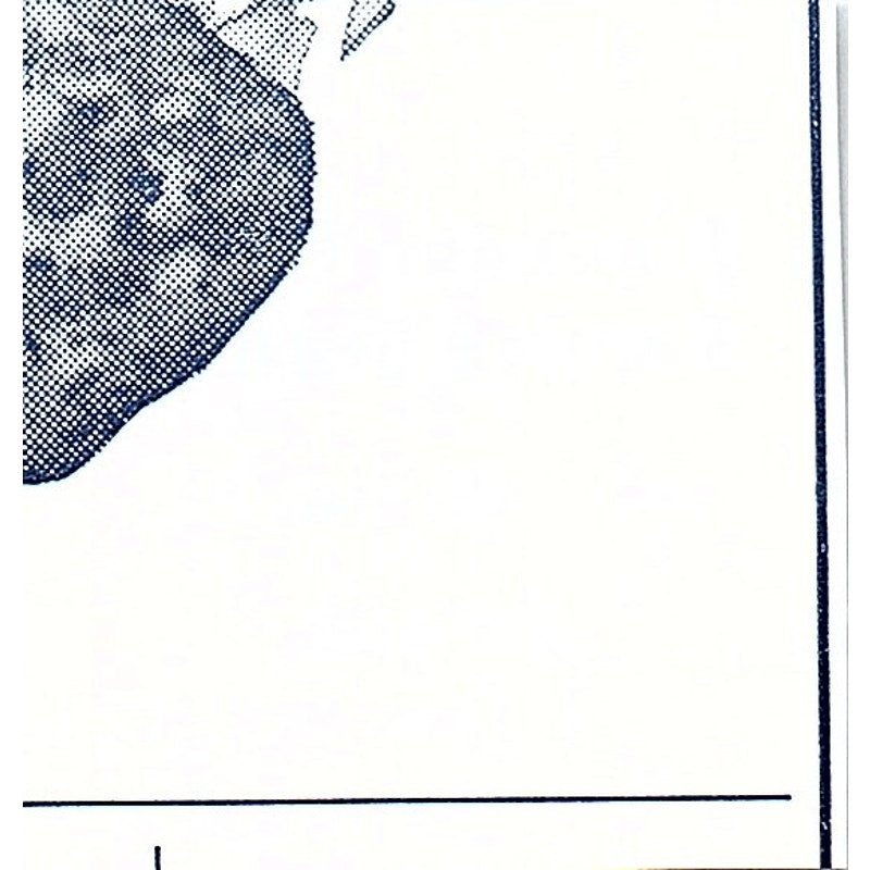 Ridenour Twins Service Station 6801 Old Trail Rd Fort Wayne IN 1964 Ad AG1-S11