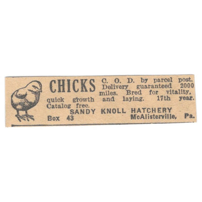 Sandy Knoll Hatchery Chicks McAlisterville PA 1922 Magazine Ad AF2-T3