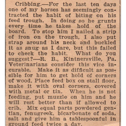 Horse Cribbing Article Kintnersville PA 1922 Magazine Ad AF2-S9
