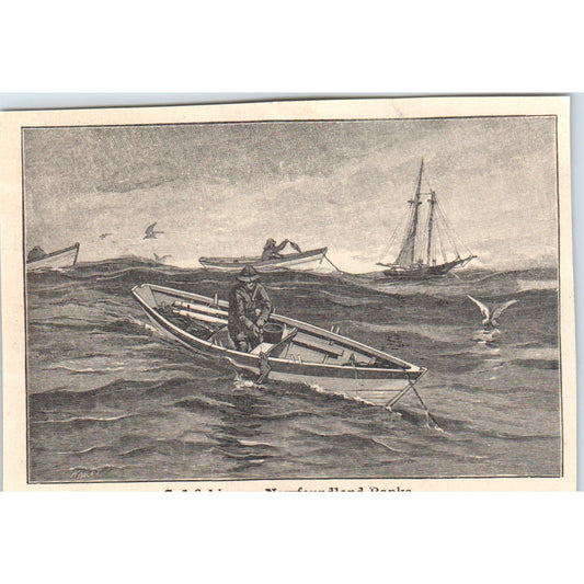 Cod Fishing on Newfoundland Banks 1901 Engraving AF2-O1