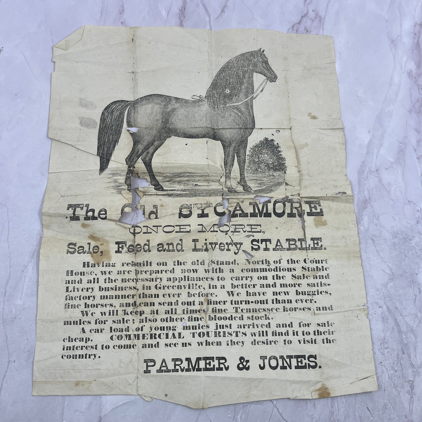 Parmer & Sons Livery & Stable Broadside Advertisement 9x12" Greenville AL AF9-4