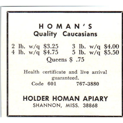 Homan's Quality Caucasian Bees Holder Homan Apiary Shannon MS 1964 Ad AB6-S14