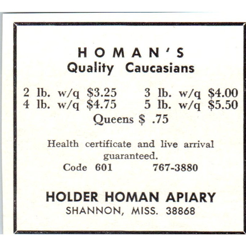 Homan's Quality Caucasian Bees Holder Homan Apiary Shannon MS 1964 Ad AK5-S36
