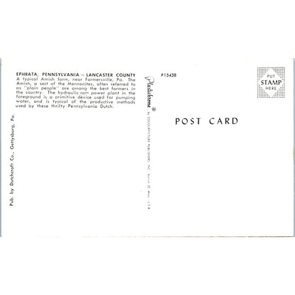 Amish Farm in Ephrata Pennsylvania Dutch Country Postcard PD7