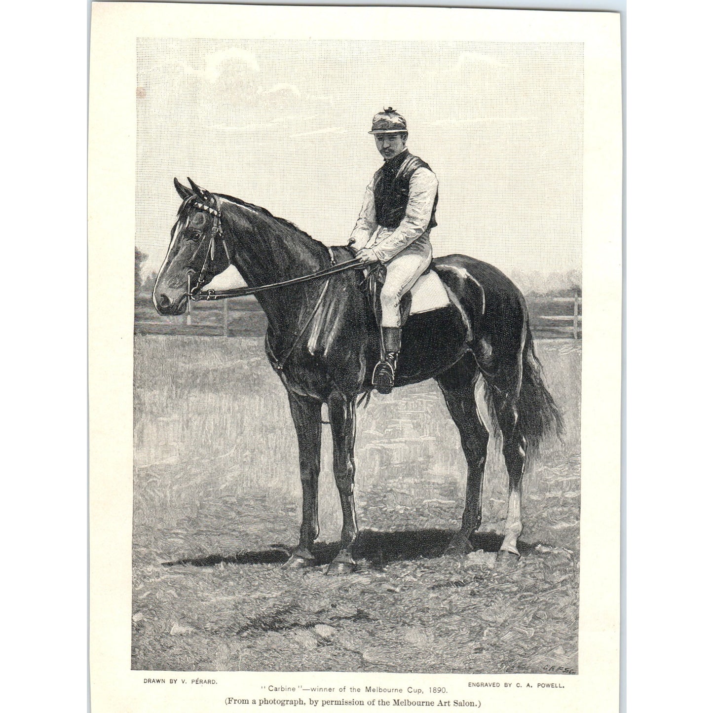 Carbine Winner of the Melbourne Cup Engraving 1892 Magazine Print AB6-SL1