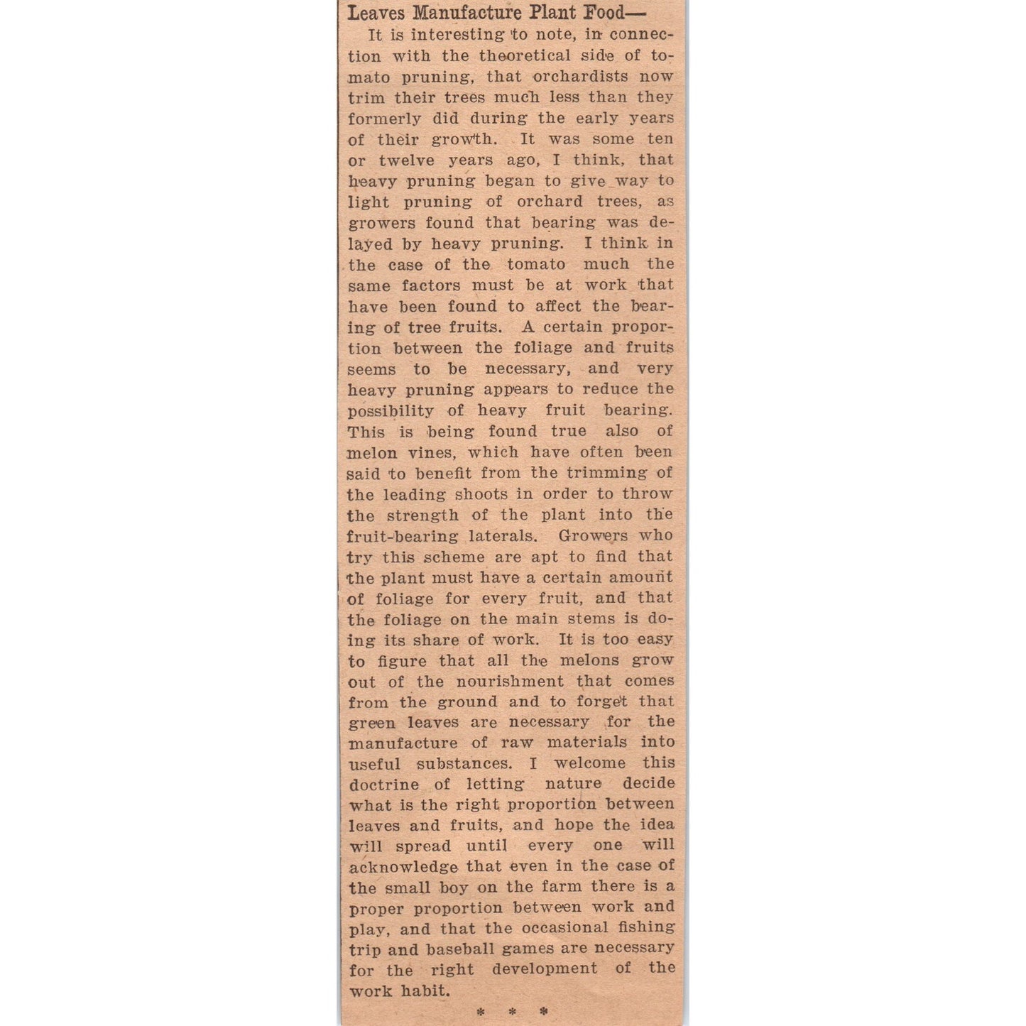 Leaves Manufacture Plant Food Article 1922 Magazine Ad AF2-A5