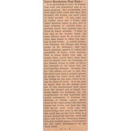 Leaves Manufacture Plant Food Article 1922 Magazine Ad AF2-A5