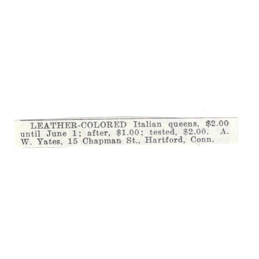 A.W. Yates Leather Color Italian Queens Hartford CT 1926 Ad AG3-S20