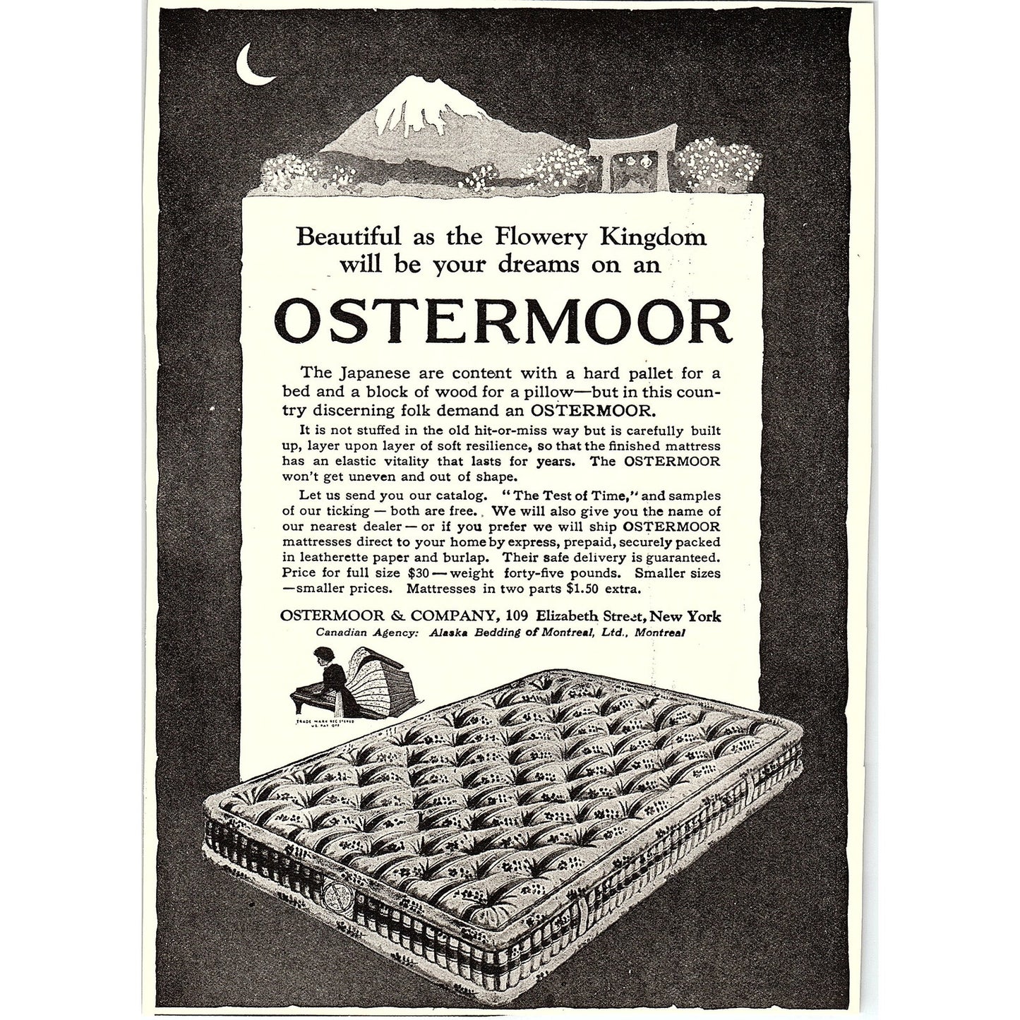 Ostermoor Mattresses Ostermoor & Company Elizabeth Street New York 1920 Ad AF8-9
