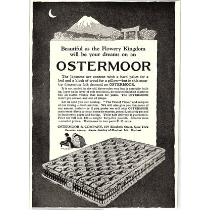 Ostermoor Mattresses Ostermoor & Company Elizabeth Street New York 1920 Ad AF8-9