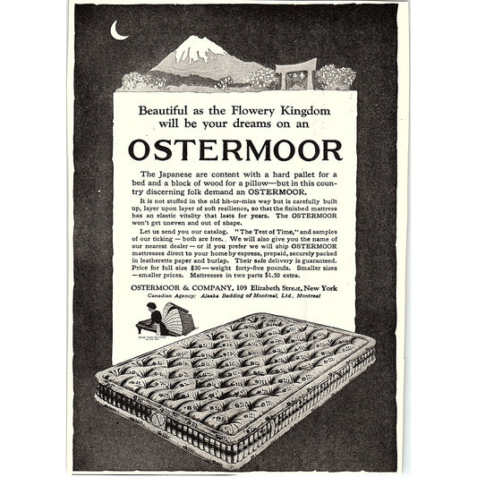 Ostermoor Mattresses Ostermoor & Company Elizabeth Street New York 1920 Ad AF8-9