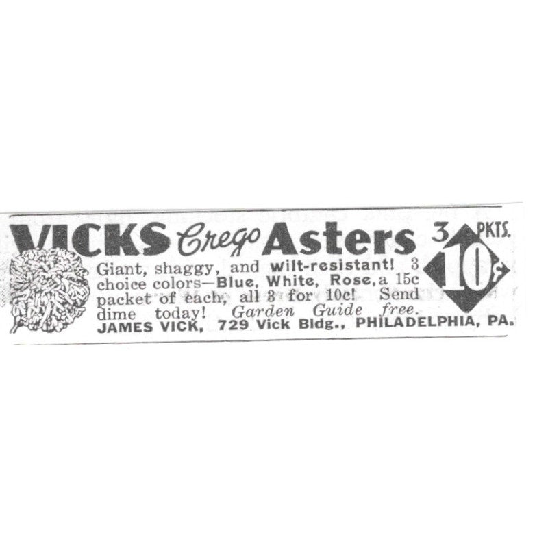 Vicks Crego Asters Garden Guide James Vick Philadelphia PA 1936 Ad SAG4-S12