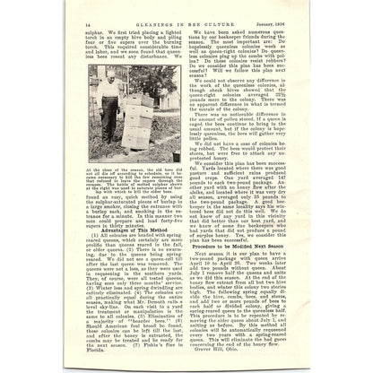Southern Bees and Northern Honey Dr. Ernest Kohn 2 Page Article 1926 AG3-9