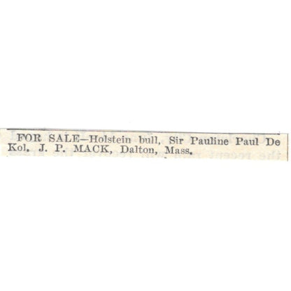 Holstein Bull Sir Pauline Paul De Kol J.P. Mack Dalton MA 1905 Ad AF1-NES2