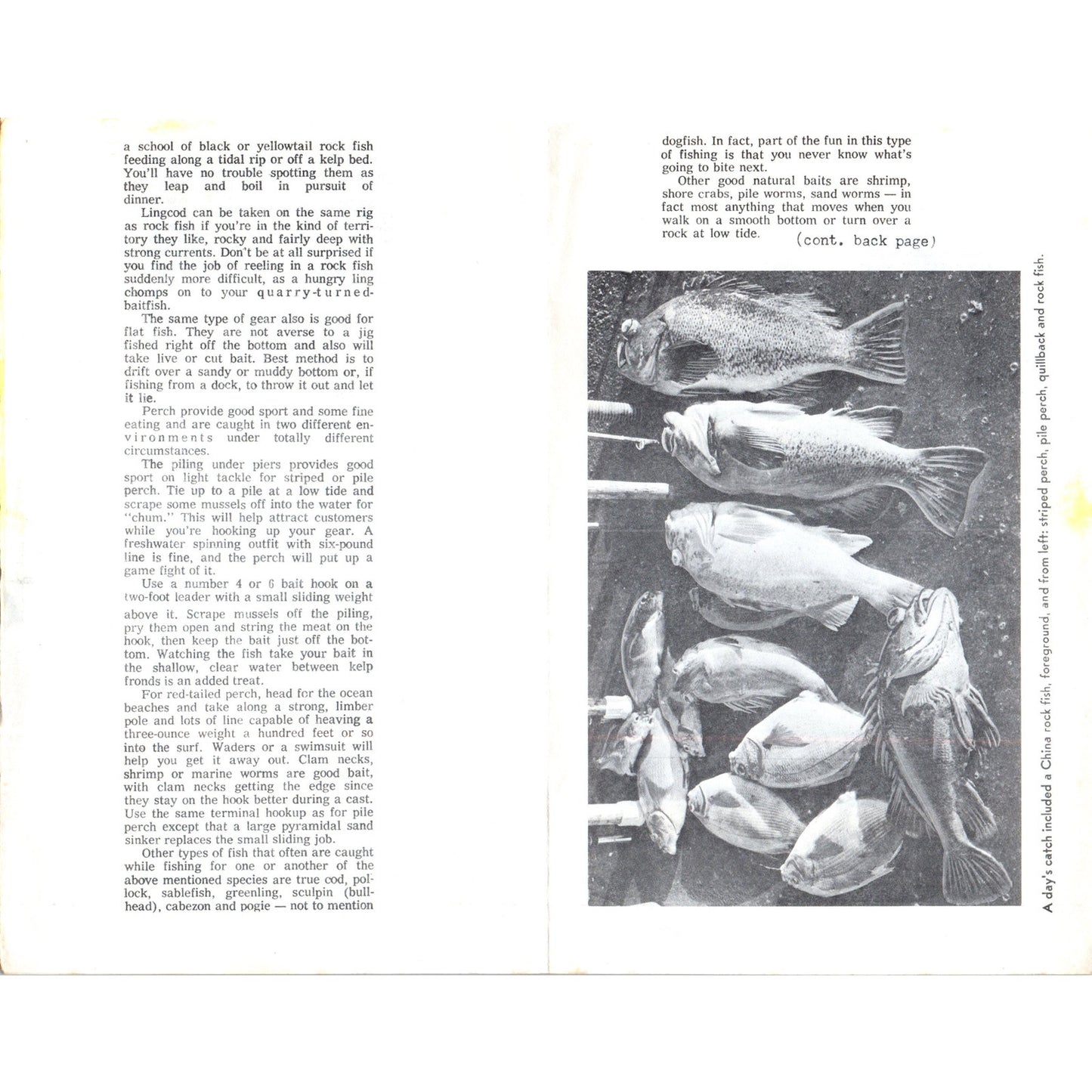 1968 Washington State Department of Fisheries Salmon Fishing Bulletin AD8-R7