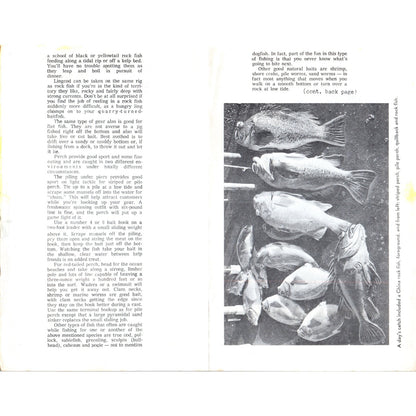 1968 Washington State Department of Fisheries Salmon Fishing Bulletin AD8-R7