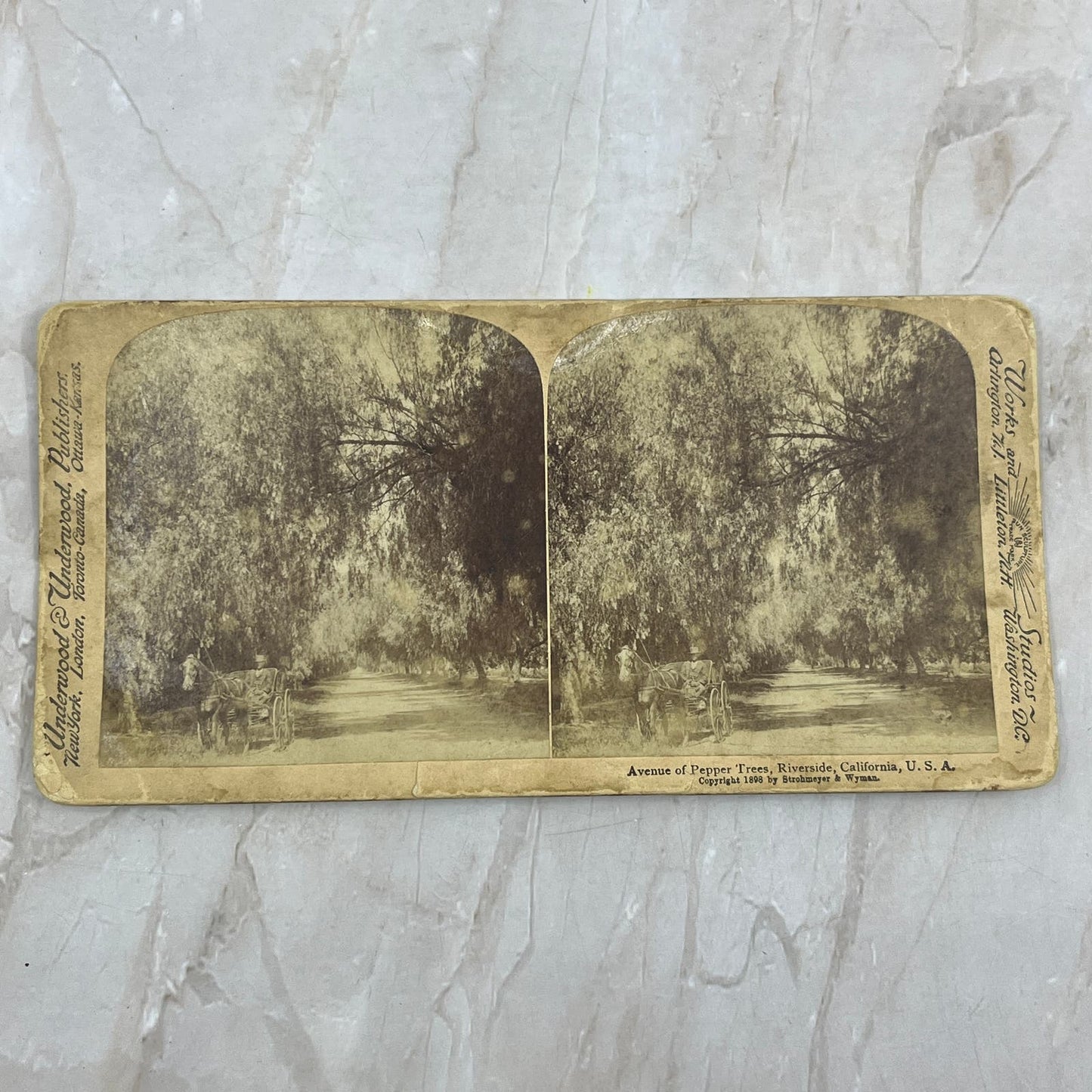 1898 Avenue of Pepper Trees Riverside California Stereoview Card TF5-L3