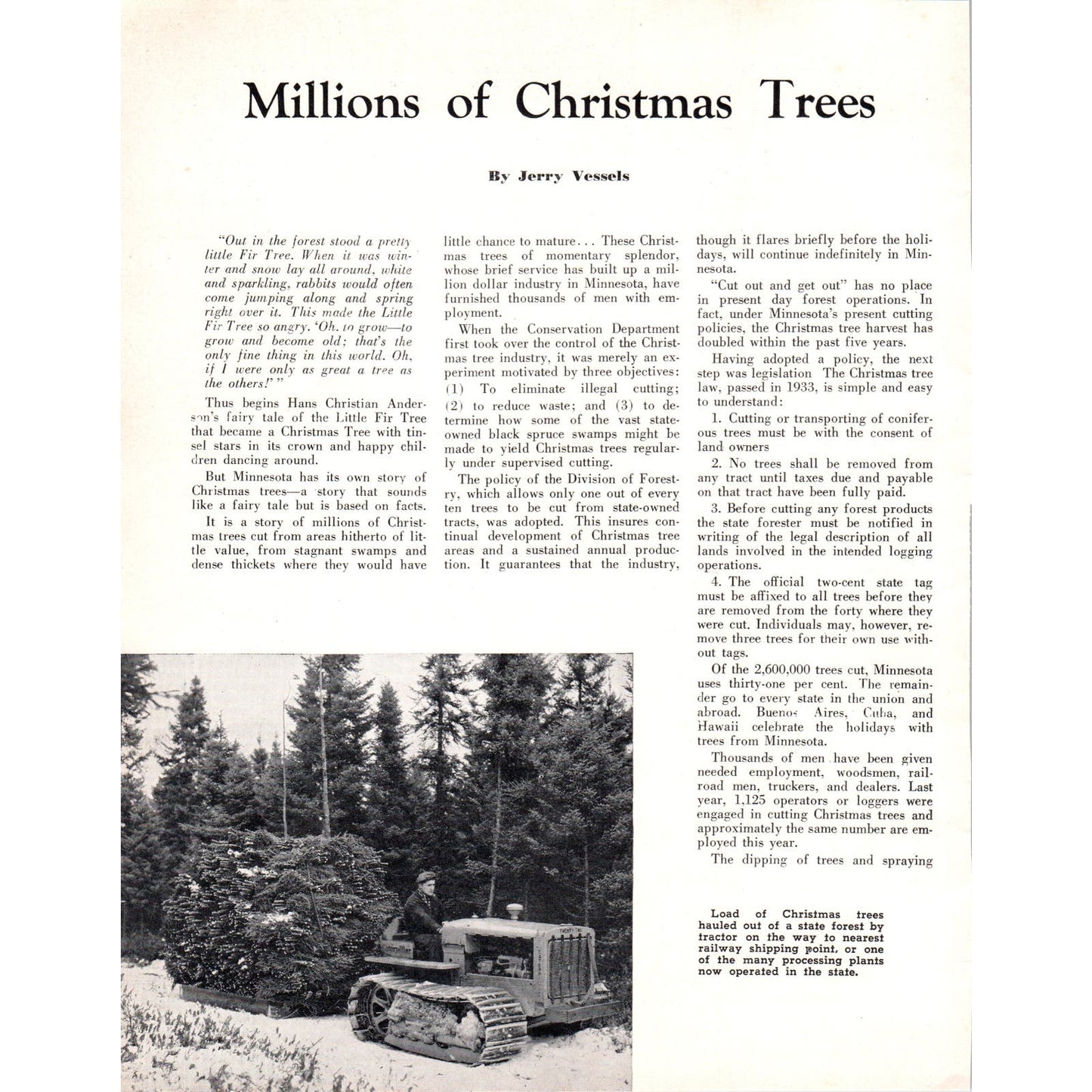 Millions of Christmas Trees Jerry Vessels Minnesota 1940 Magazine Article D17