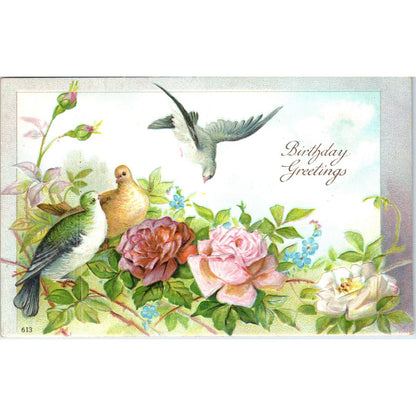 c1910 Edwardian Birthday Greeting Card Doves Embossed Roses Postcard PE1