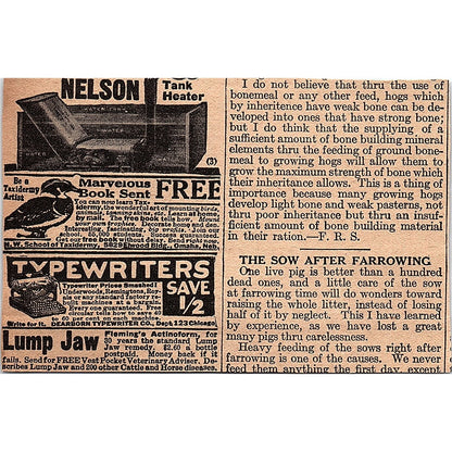 Walsh Harness - James M. Walsh Harness Co Milwaukee WI 1920 Ad AG2-6