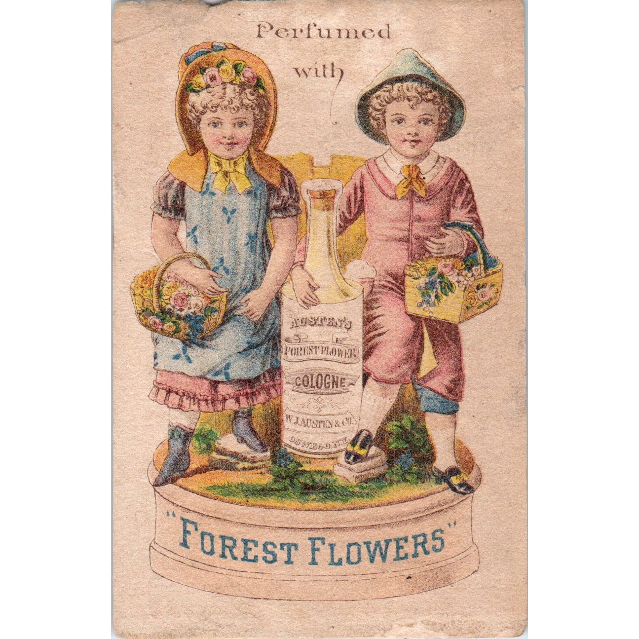 E.B. Silvers Pharmacy Rahway NJ Forest Flowers c1880 Victorian Trade Card AE5