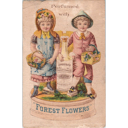 E.B. Silvers Pharmacy Rahway NJ Forest Flowers c1880 Victorian Trade Card AE5