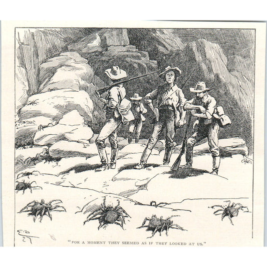 Spiders and Cowboys Western 1897 Victorian Illustration AE9-TS3