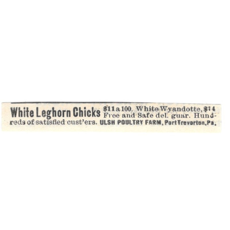 Ulsh Poultry Farm Leghorn Chicks Port Trevorton PA 1924 Ad AG3-S9