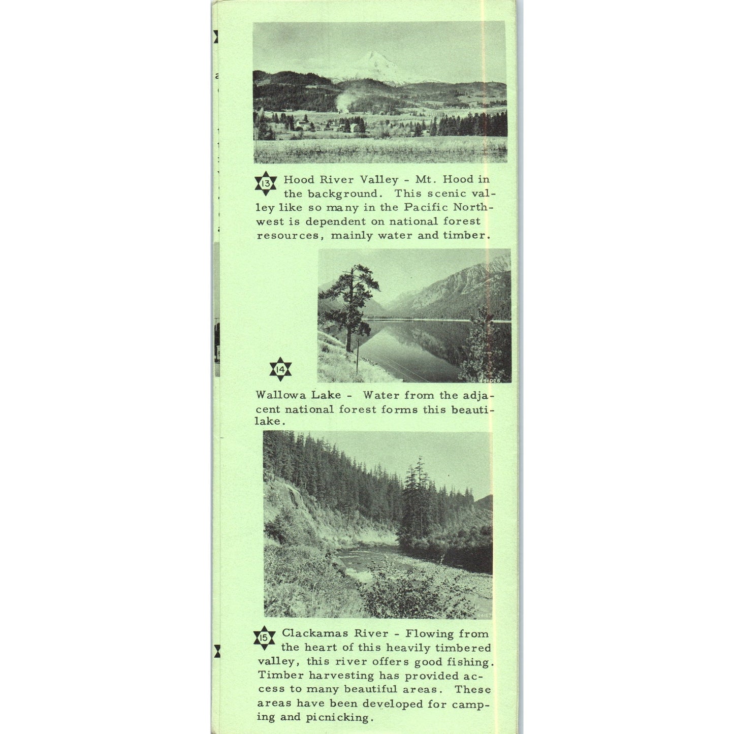 1961 Scenic Routes Thru The Pacific Northwest National Forests Brochure TH9-CB