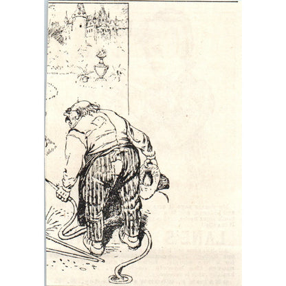 Lane's Medicine Herb Drink Orator F. Woodward LeRoy c1890 Victorian Ad AE8-CH7