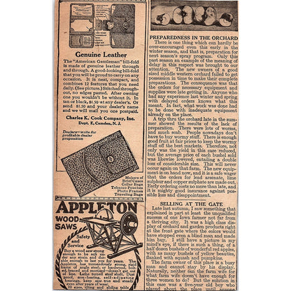 Hayes Fruit-Fog Sprayers Hayes Pump & Planter Co Galva IL 1920 Ad AG2-6