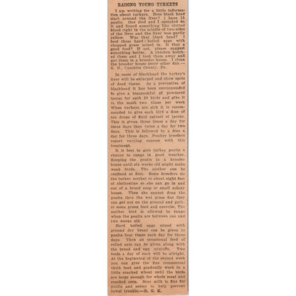 Raising Young Turkeys Article 1922 Magazine Ad AF2-A5