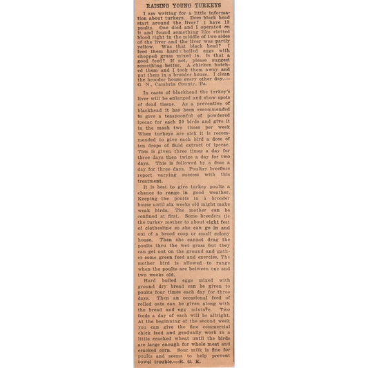 Raising Young Turkeys Article 1922 Magazine Ad AF2-A5
