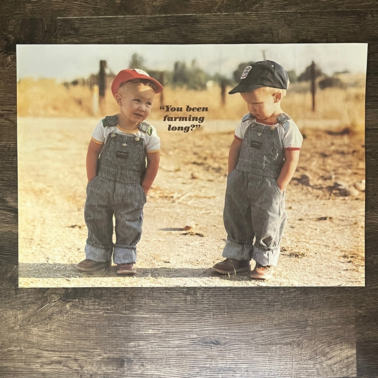 Original Poster You Been Farming Long? Farmer Boys in Oshkosh Overalls 14x20 FL6