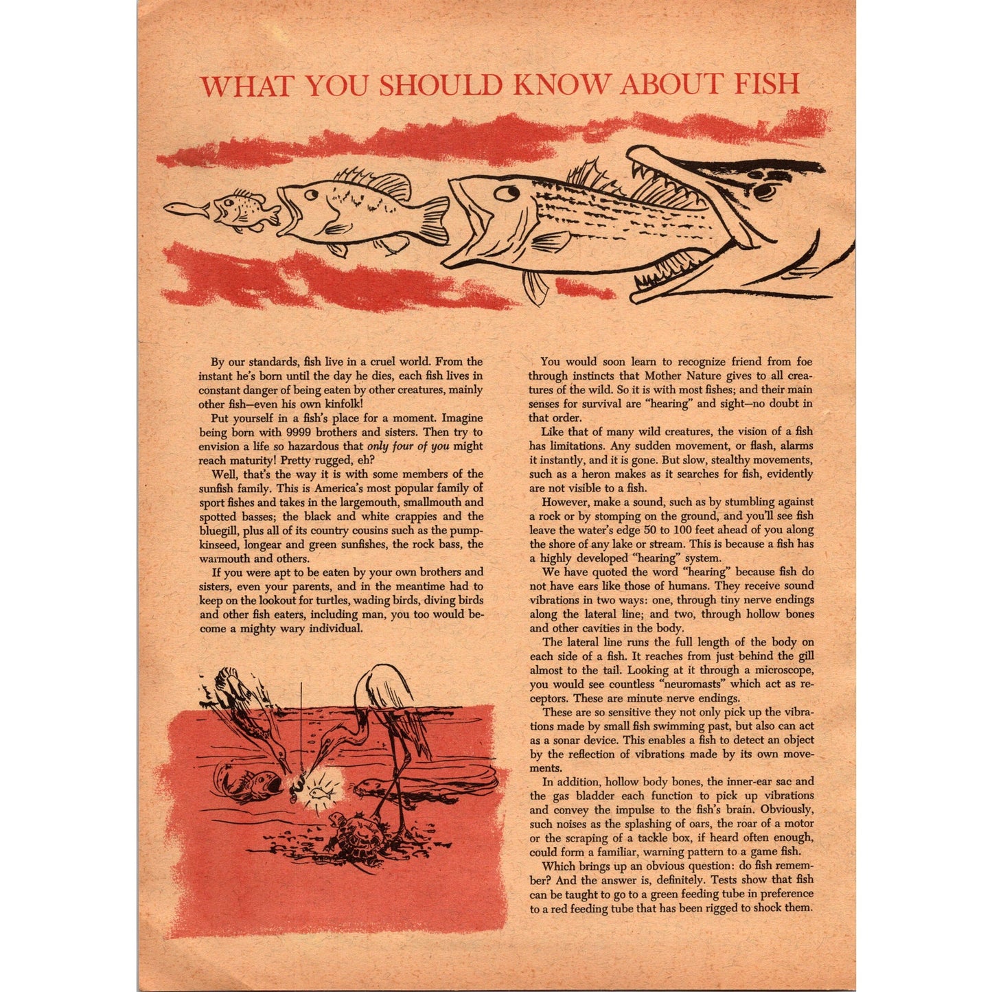 The ABC's of Catching Fish by Homer Circle 8 Page 1966 Article SI11