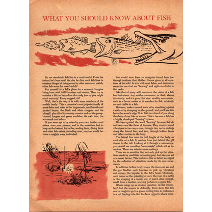 The ABC's of Catching Fish by Homer Circle 8 Page 1966 Article SI11