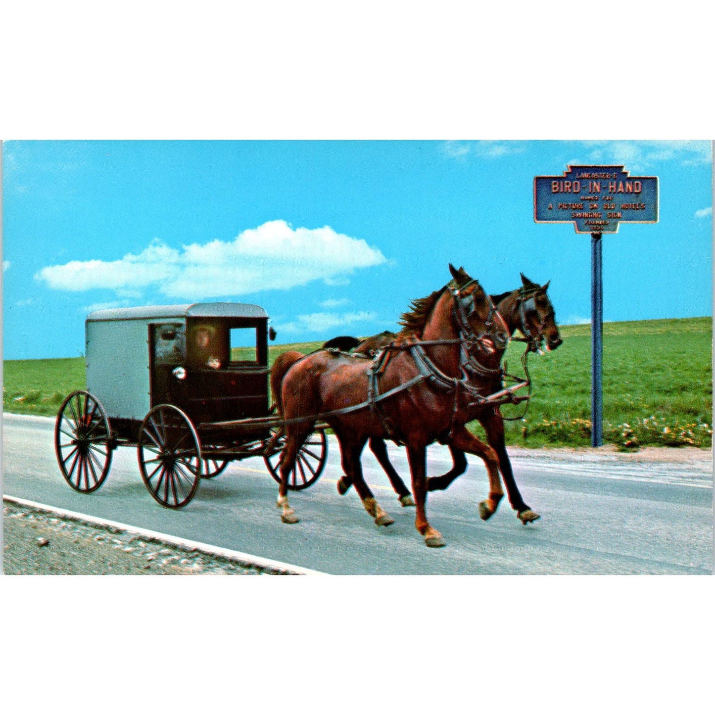 Doubletree Hitch & Team of Horses Pull Amish Family Carriage PA Postcard PD7