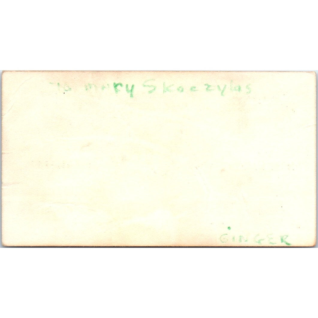 Sun Music Larry Larrivee L.V. Connery Bruce Cook Vintage Business Card SD8-B12